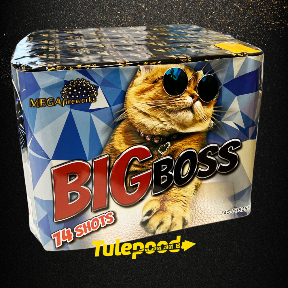 Ilutulestik "BIG BOSS"