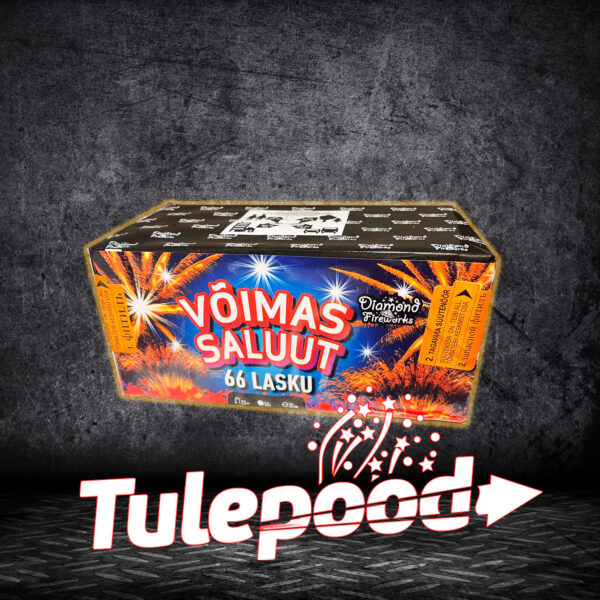 Ilutulestik "VOIMAS SALUUT"