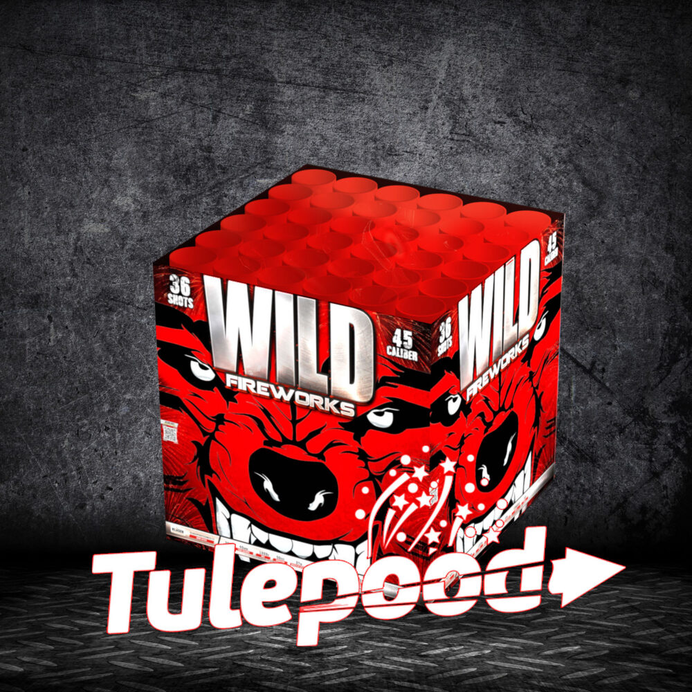 Ilutulestik Wild Fireworks