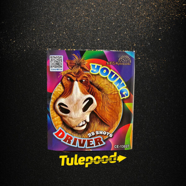 Ilutulestik "Young Driver"